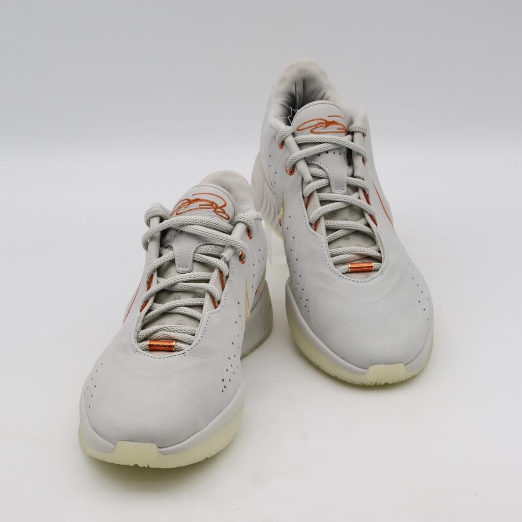 FV2345-001 Nike LeBron 21 Akoya (Мужской)