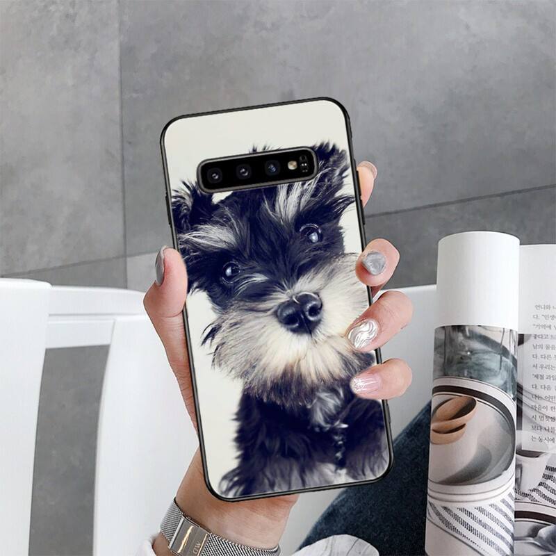 Чехол для телефона с изображением щенка шнауцера для Samsung Galaxy S22 S20 Ultra S20 S22 Plus S21 S10 S9 S8 Plus S10E S20 FE