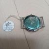 Used CITIZEN Deluxe Genuine Case