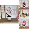 Butterfly Orchid Fake Flower Pot Plant For Event Decorations And Photography Sessions