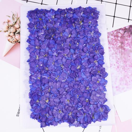 12Pcs Dried Flowers Creation Epoxy Resin DIY Pressed Long-lasting Dried Flowers