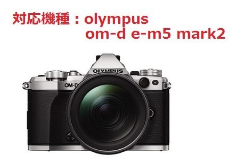 Защитная наклейка на ЖК-экран цифровой камеры Washodo Olympus mark2 om-d e-m5 "503-0029L"