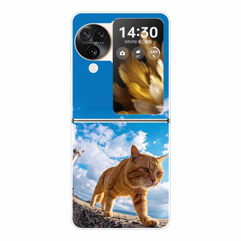 Для Find N3 Flip 5G Чехол Милый Прозрачный Жесткий ПК Задние Крышки для Oppo Find N3 Flip Расписные Корпуса Телефона N 3 Flip Funda Capa
