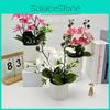 Artificial Butterfly Orchid Plant Indoor Decor  For Home Living Room Accent