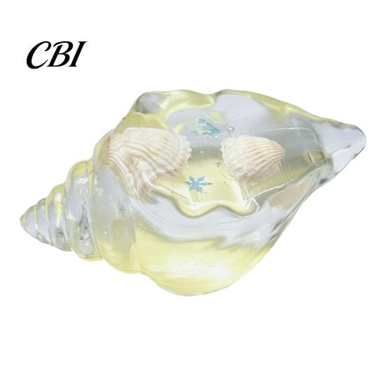 Relaxation Desk Toys Clear Conch Stress Relief Toy, Sea Snail Squeezable Fidget Kids Toy Stretchy Sensory for Anxiety & Hand Exercise Calming