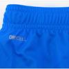 Puma Шорты Teamliga 70492402 Шорты