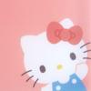 Sanrio Sanrio Новая жизнь Биндер Hello Kitty Hello Kitty Персонаж 160067 SANRIO (САНРИО) 27,5×22×2,3см
