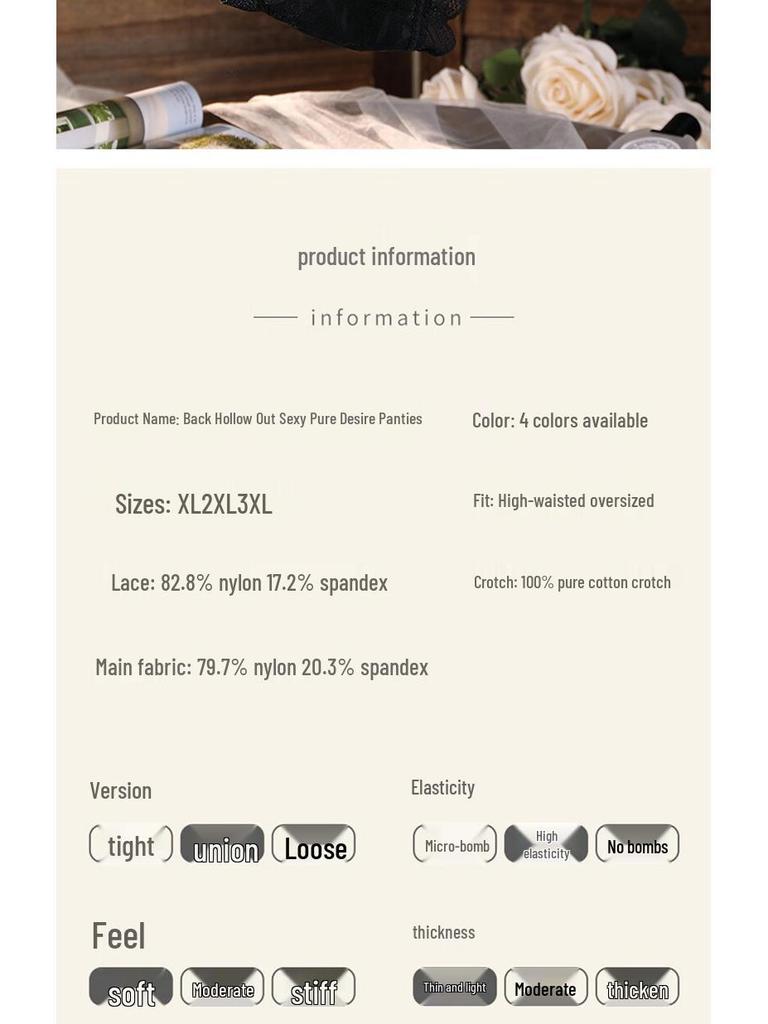 Langsha Plus Size Women's Sexy Lace French Briefs (3-Pack)