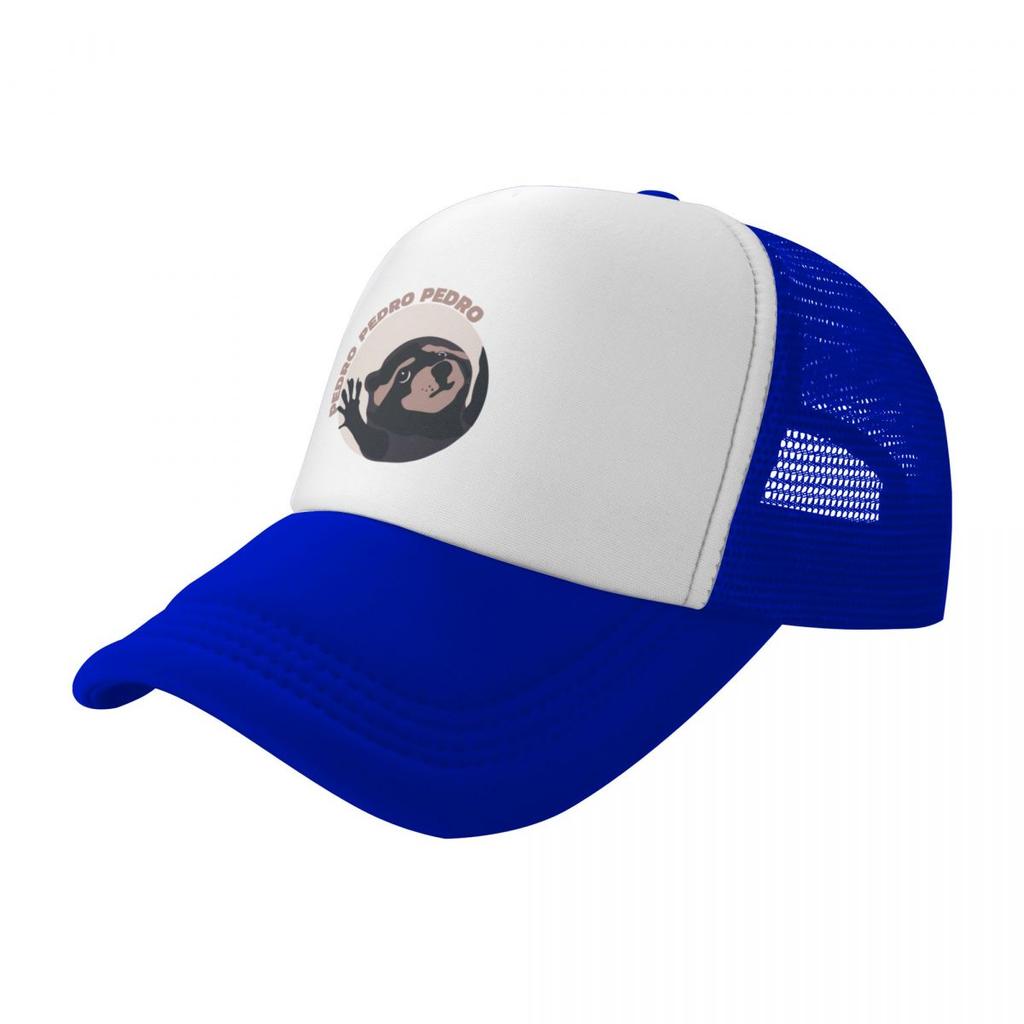 Pedro Raccoon Dancing Meme Baseball Cap Wild Ball Hat Golf Man Cosplay Male Womens