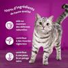 Nourriture humide pour chat - Whiskas - Pâtée - Saveurs variées - 100% ingrédients de qualité - 1 an et plus