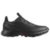 Alphacross 5 Wmns Salomon GORE-TEX 'Black Ebony' Женские L47310900