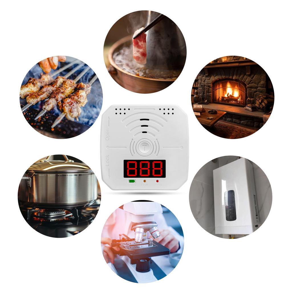 2 Packs Carbon Monoxide Detectors Portable CO Alarm Detector Monitor with LCD Digital Display Sound