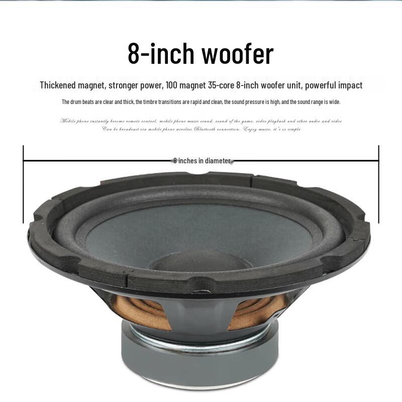 SHILE Профессиональная звуковая система для конференц-зала