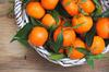 10 CLEMENTINES SEEDS - FRESH SEEDS + FREE SHIPPING