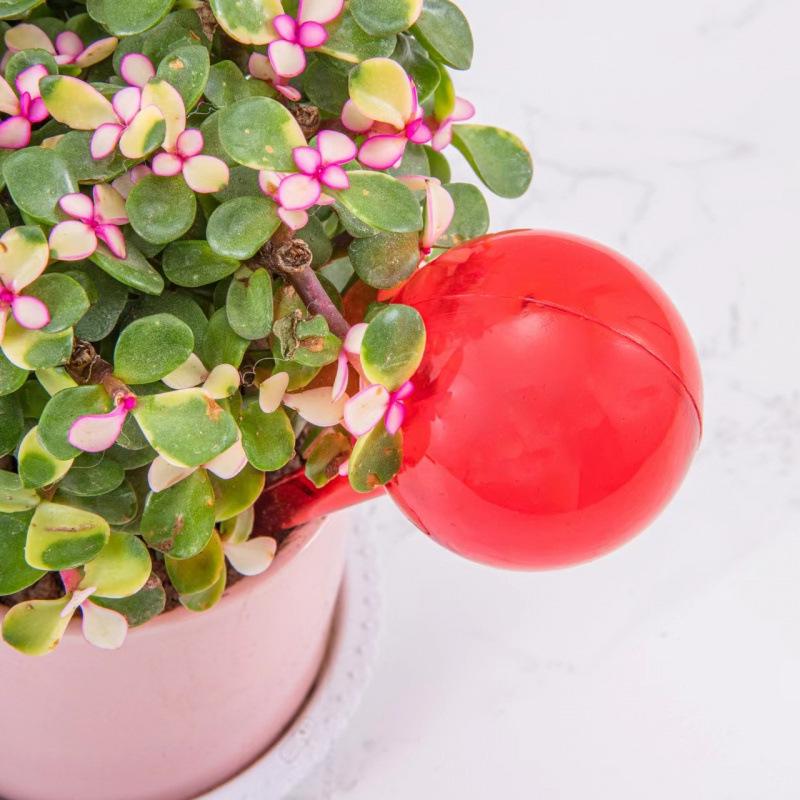 Automatic Flower Watering Globe – Ideal for Travel and Home Use. Contact Customer Service for Color Options.