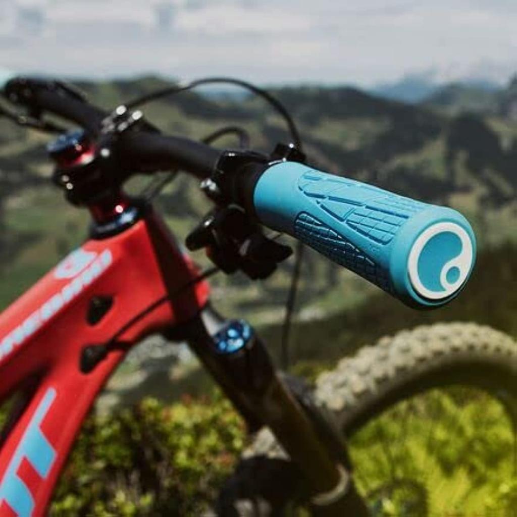 Грипсы Ergon GA2 Midsummer BL (HBG24506)