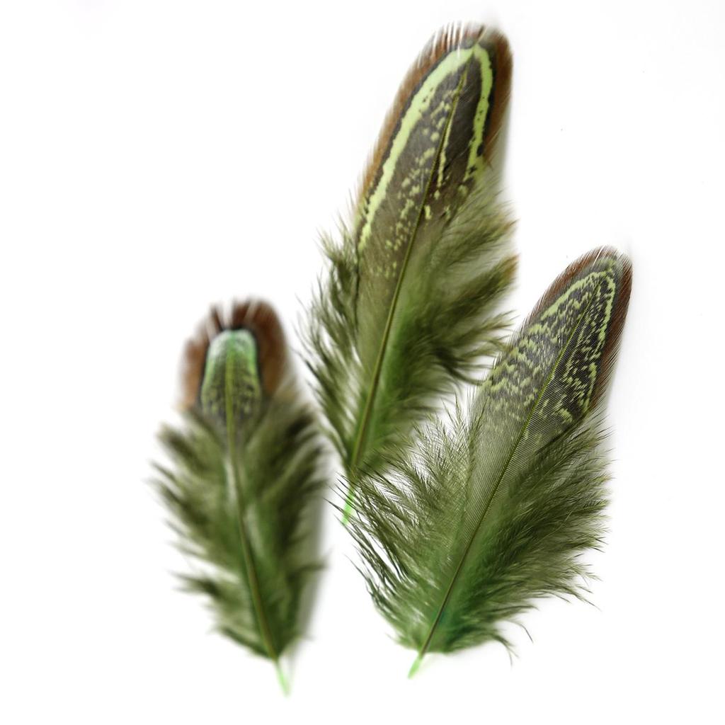 50 шт. 4-8 см редкие драгоценные DIY свадебные вечерние декоративные разноцветные перья фазана натуральные перья для украшения дома