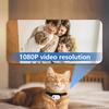 Pet Surveillance Collar Camera with Video Recording Indoor Pet Activity Monitoring Tracker Body Camera for Cats and Dogs