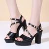 Womens Fashion High Heels Sandals Women Slingback Platform Shoes Woman Roman Sandal Female Pumps White Summer 2024 New Sandalias