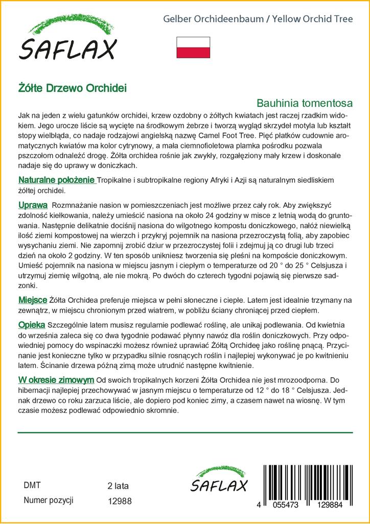 SAFLAX Желтая орхидея - 30 семян - Bauhinia tomentosa