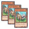 [Set of 3] Yu-Gi-Oh! Japanese Version DANE-JP026 Handigallop (Normal)