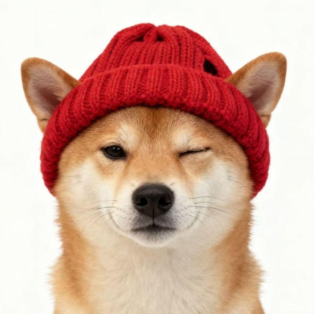 Вязаная шапка для питомца Вязаная шапка Теплая Теплые наушники Головной убор Собака Шапка-бини Новый год