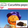 Тыква - Тыква-фонарь - 10 семян - С почвенным субстратом для лучшего выращивания - Cucurbita pepo