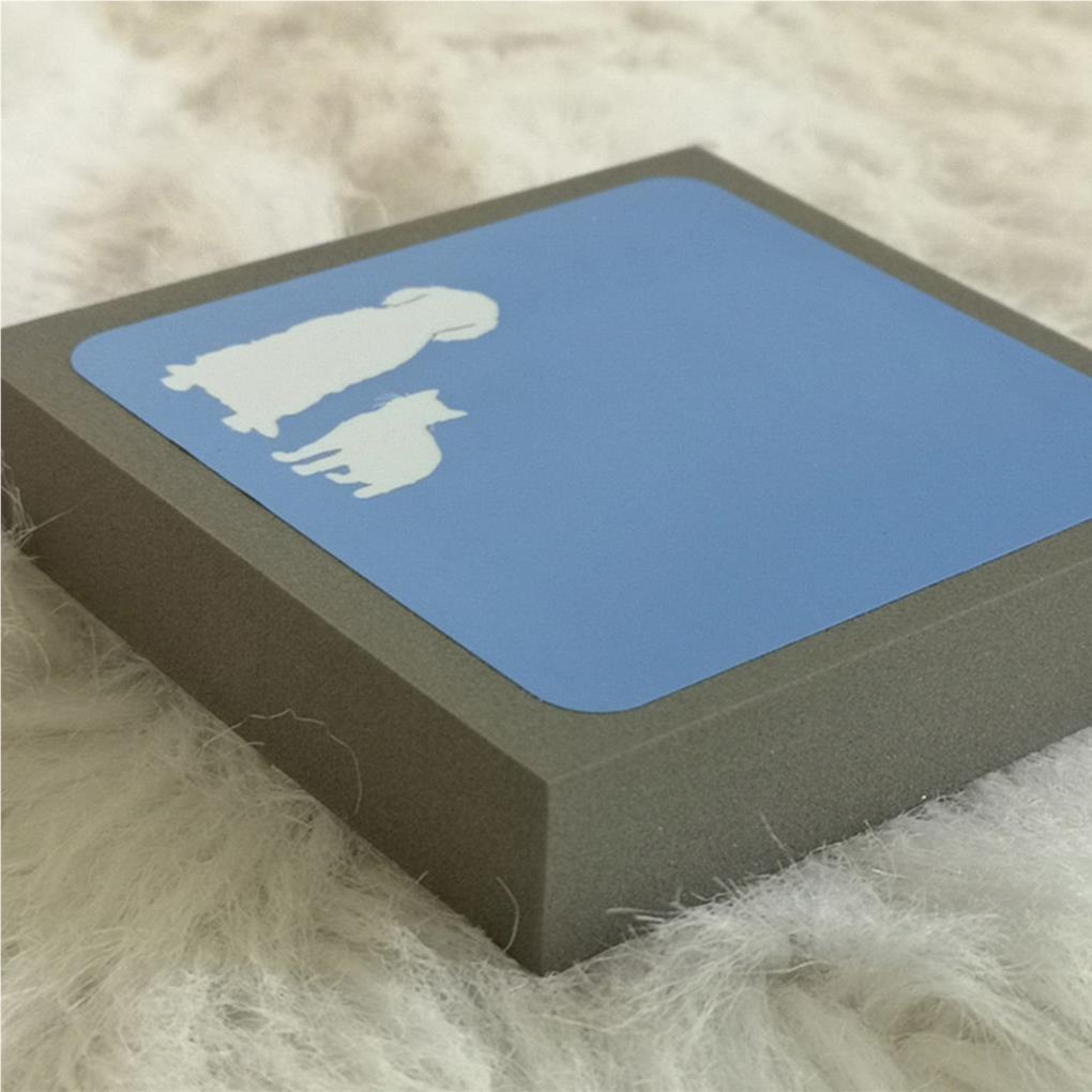 EVA Pet Hair Remover Small Cleaning Tool Reusable Hand Type Manual Blanket Fuzz Fabric Shaver Cat Hair Removing Tools