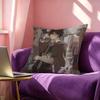 Edogawa Rampo Anime Pillow Case Square DoubleSided Sofa Cushion Cover Bedroom Bedside Pillow