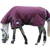 Weatherbeeta Comfitec Plus Dynamic II Combo Neck Medium Lightweight Horse Turnout Rug