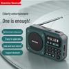 Портативное AM/FM радио Newmine N123, штекер CN (адаптер в комплекте)