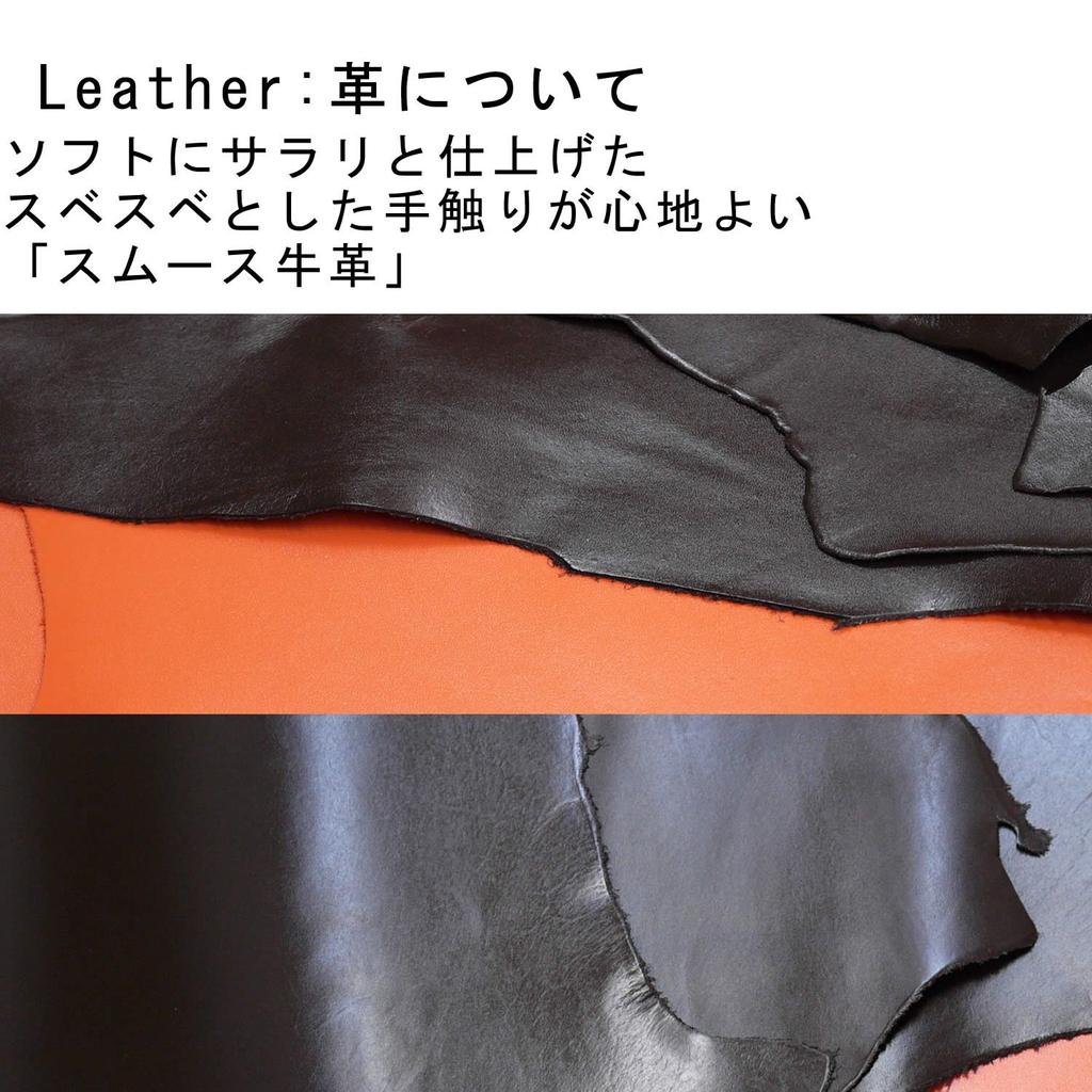 Leather Craftsman Secondary Pass Case Bifold Coin Purse Included Genuine Leather Pass Case PR005 BK Multi-Pocket (Black)