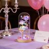 Forever Preserved Rose Gift for Women Wife Mom Colorful Light Up Rose in A