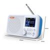C10 DAB-радио DAB+ FM-радио Портативное цифровое радио MP3-плеер Перезаряжаемое радио (Подходит только для Европы и Австралии)