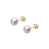 Akoya Pearl Earrings In 18K Gold for HA00055R11WPNPA03Y 5.5mm Women,