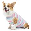 Postoperative Sterilization Clothing for Dogs, Postoperative Belly Protection Clothing, and Thin and Transparent Clothing