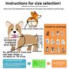 Инвалидная коляска для домашних собак, реабилитационная инвалидная коляска с поддержкой ходьбы