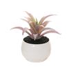 Fake Potted Plant Weather Resistant Photo Props Wide Application Excellent Mini Succulents Desk Office Potted Home Accessories