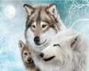 5D DIY Алмазная картина Животное Волк Полный квадратный/круглый Алмазная вышивка Крестом Мозаика Подарок ручной работы