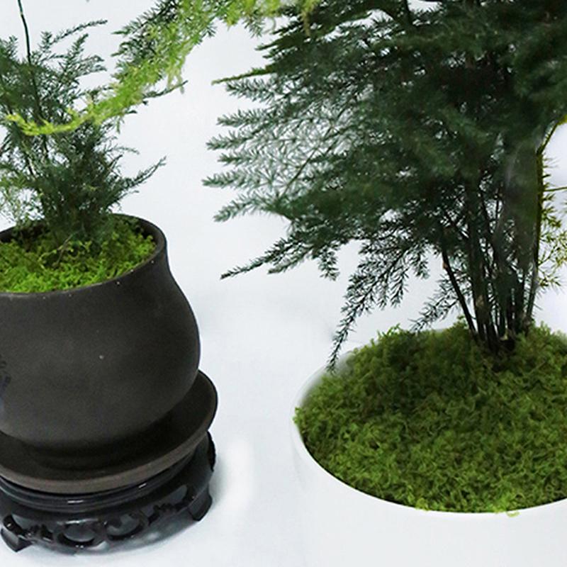 100 г искусственные растения домашний декор имитация мха газон биомиметический искусственный мох сад микро ландшафтный дизайн украшения газон бонсай