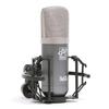 Roswell Pro Audio Mini K67x Large Diaphragm Condenser Microphone