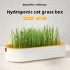 New Pet Cat Sprout Dish Growing Pot Hydroponic Plant Cat Grass Germination Digestion Starter Dish Greenhouse Grow Box