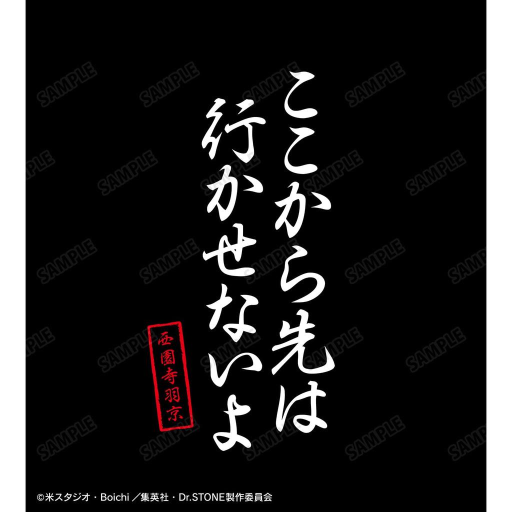 ТВ-аниме «Доктор». Футболка "Stone" "Я не позволю тебе идти дальше", женская, размер XXXL