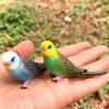 Новые Реалистичные Фигурки Павлинов из ПВХ, Модели Животных Фермы, Коллекция Фигурок Действия, Образовательные Игрушки для Детей