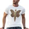 All My Demons Tshirt Plus Size Workout Short Sleeve Top