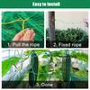 Fruit and Vegetable Climbing Net – Garden Support Mesh for Plants, Flowers, and Morning , Branch Support , Outdoor Plant Training Tool