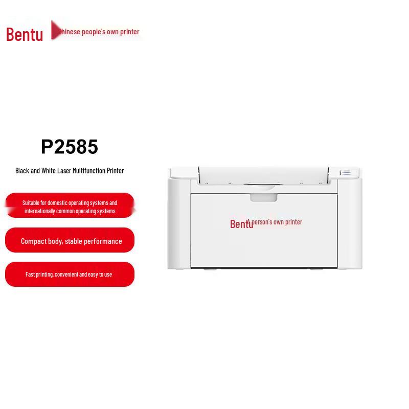 Pantum P2585 Mono Laser Printer CN plug (adapter included)