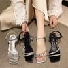 High-end Niche High-heeled Sandals Women's Transparent Thick Heel Shoes with Crystal Rhinestones and Skirts, Summer 2025
