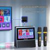 Портативная система караоке KTV SANSUI W200, штепсель CN (адаптер в комплекте)
