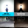2Pcs 36000LM H7 LED Headlight Bulbs Mini Turbo H11 LED H8 9005 HB3 9006 HB4 80W Car Fog Light Headlamp Auto Plug&Play Lamp 6500K White